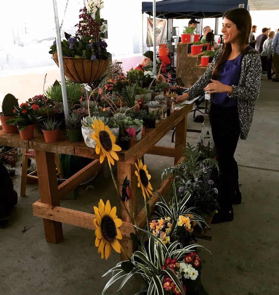 Affordable outdoor landscaping for outdoor upgrades across Dallas, TX - Edible Landscapes Dallas