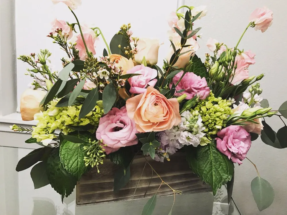 Professional lawn care service in Dallas, TX - Edible Landscapes Dallas