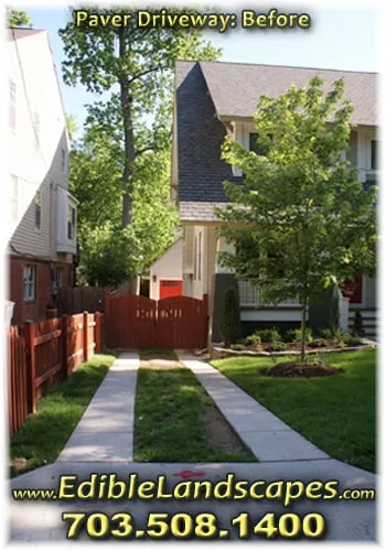 Expert lawn care service for homes across Falls Church, VA - Edible Landscapes