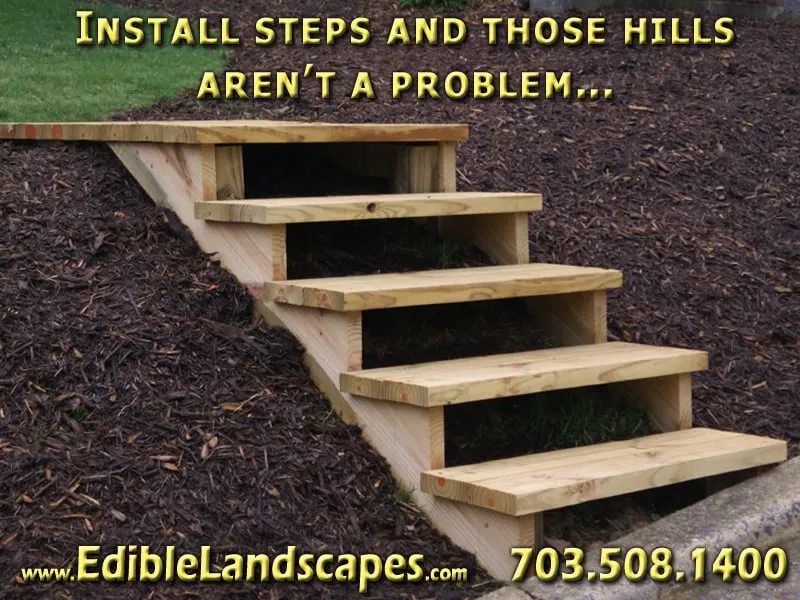 Trusted landscape design experts serving Falls Church, VA - Edible Landscapes