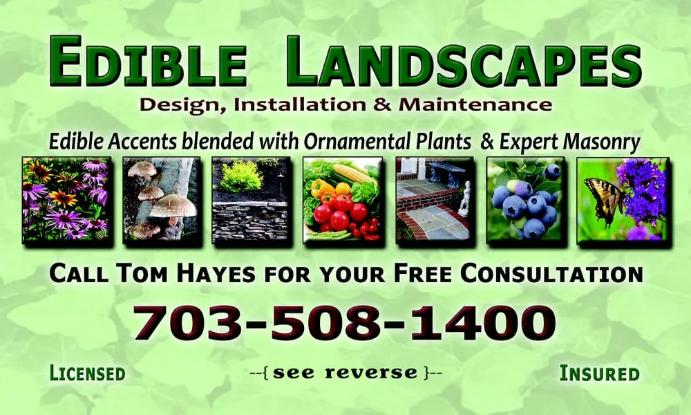 Professional outdoor landscaping experts serving Falls Church, VA - Edible Landscapes