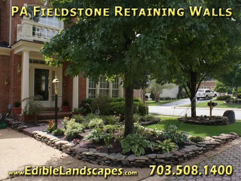 Top-rated landscaping services in Falls Church, VA - Edible Landscapes