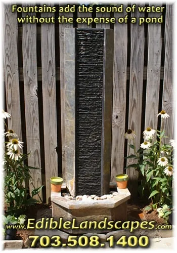 Professional outdoor landscaping near you in Falls Church, VA by Edible Landscapes