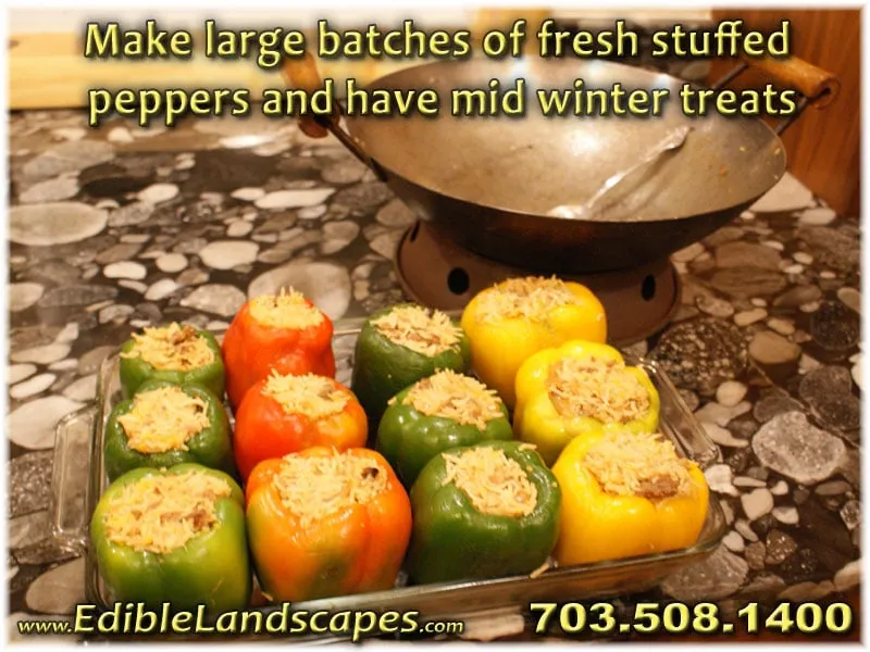 Professional residential landscaping in Falls Church, VA - Edible Landscapes