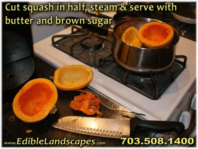 Trusted landscape installation in Falls Church, VA - Edible Landscapes