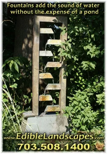 Affordable lawn care service for beautiful yards across Falls Church, VA - Edible Landscapes