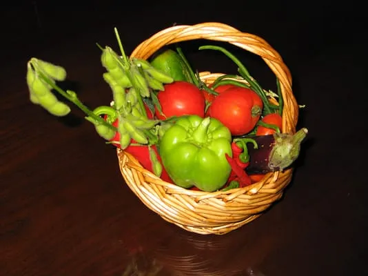 Edible Landscapes Logo