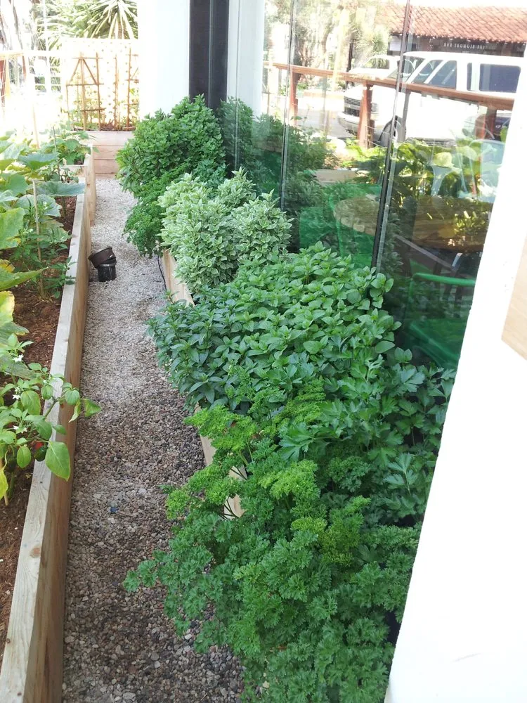 Top-rated landscape design in Hermosa Beach, CA - Edible Landscapes LA