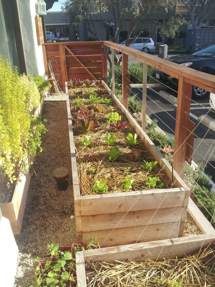 Expert yard cleanup service with custom design across Hermosa Beach, CA - Edible Landscapes LA