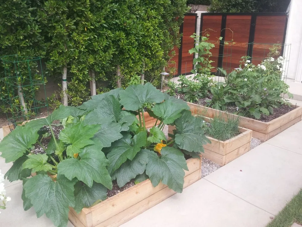 Local garden landscaping experts serving Hermosa Beach, CA - Edible Landscapes LA