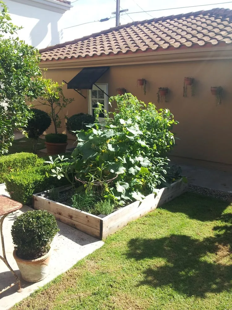 Local yard cleanup service in Hermosa Beach, CA - Edible Landscapes LA