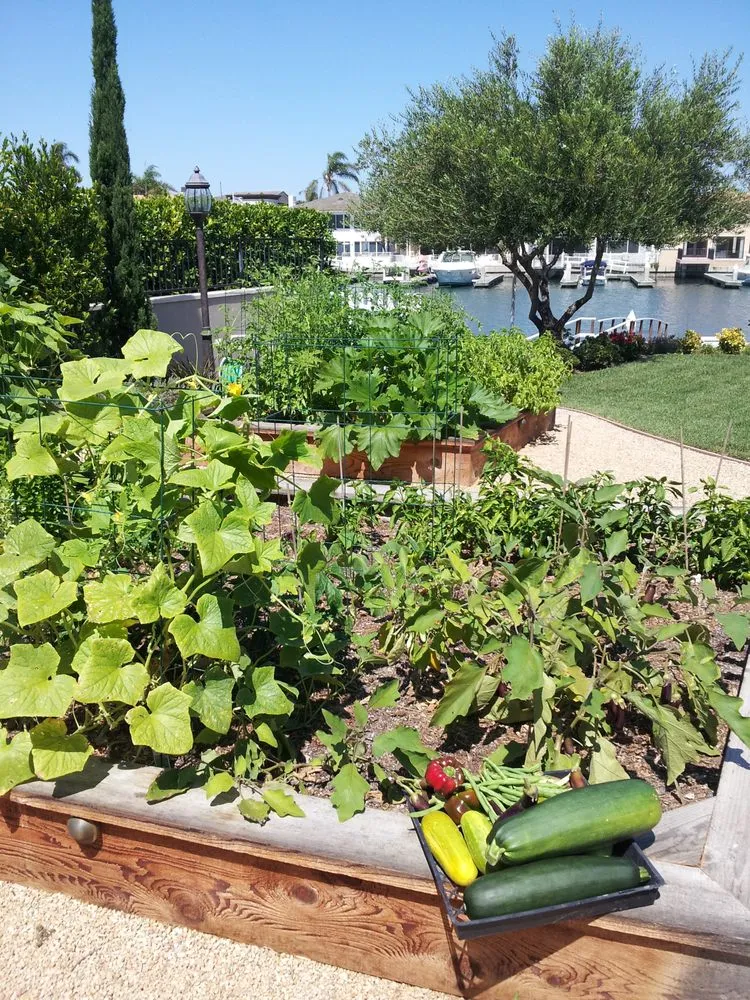 Trusted yard maintenance in Hermosa Beach, CA by Edible Landscapes LA