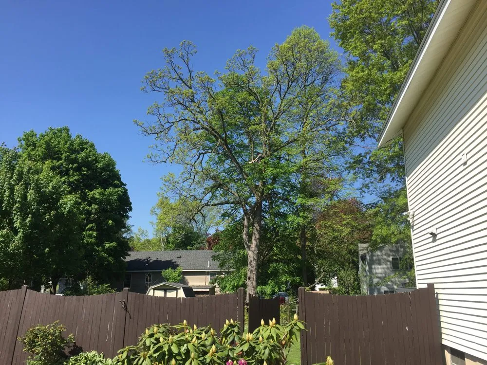 Local landscape design experts serving Lynn, MA - Edin & Sons Hardscape Construction