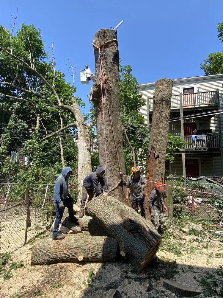 Reliable outdoor landscaping experts serving Lynn, MA - Edin & Sons Hardscape Construction