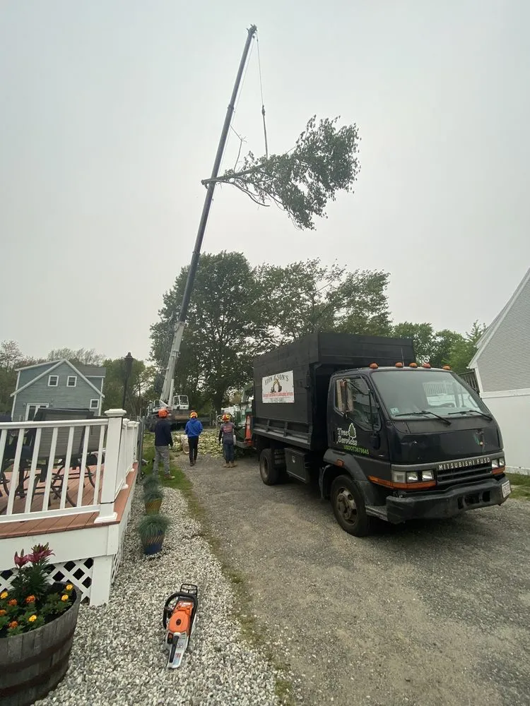 Professional yard maintenance for year-round maintenance in Lynn, MA by Edin & Sons Hardscape Construction