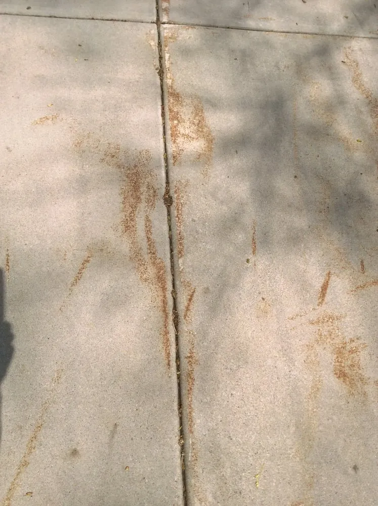 Custom landscape design experts serving Chaska, MN - Edina Seasonal Services