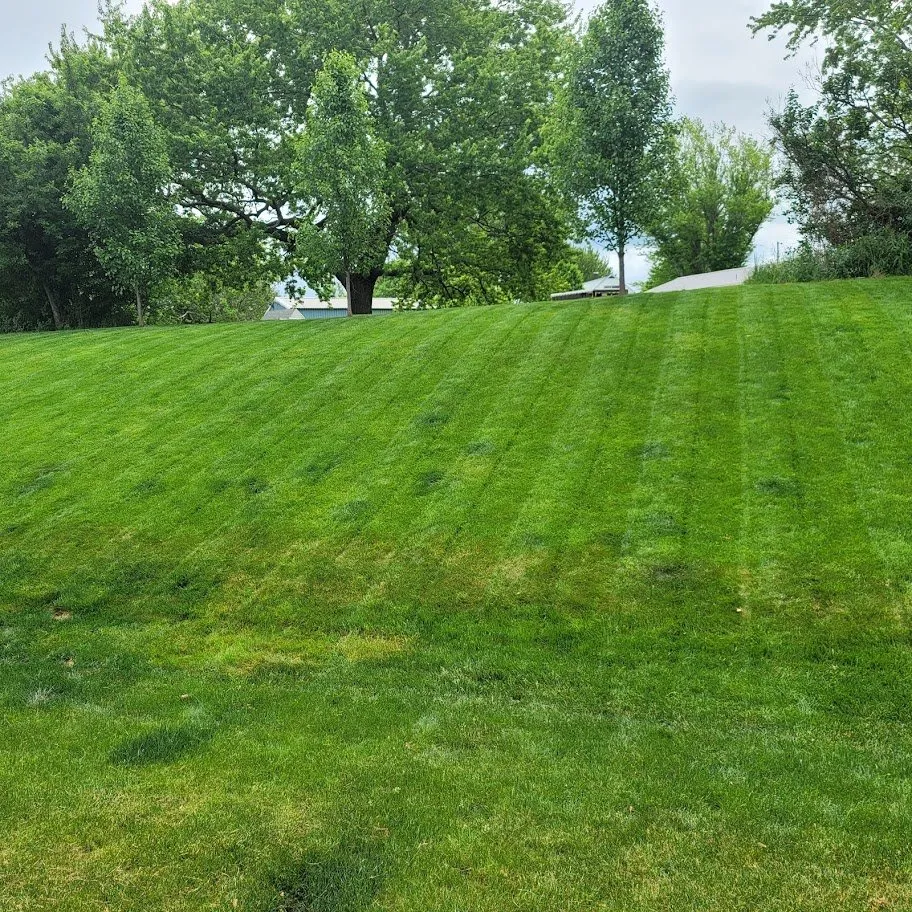 Local garden landscaping experts serving Edinboro, PA - Edinboro Landscaping