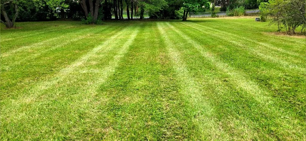 Professional lawn care service for year-round maintenance in Edinburg, VA by Edinburg Lawn Boys