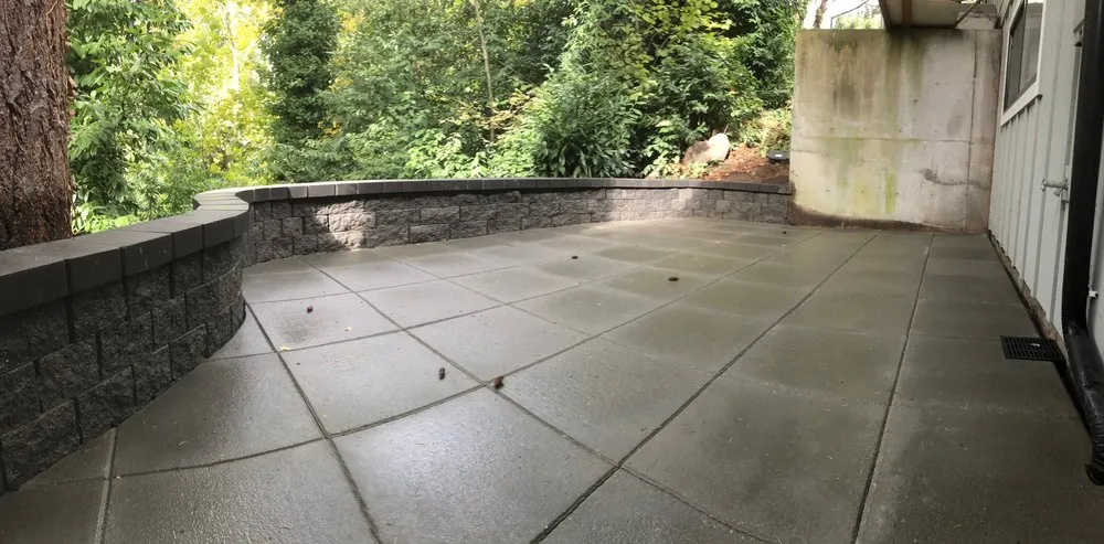 Top-rated yard cleanup service for residential properties across Bothell, WA - Ediscapes Landscaping