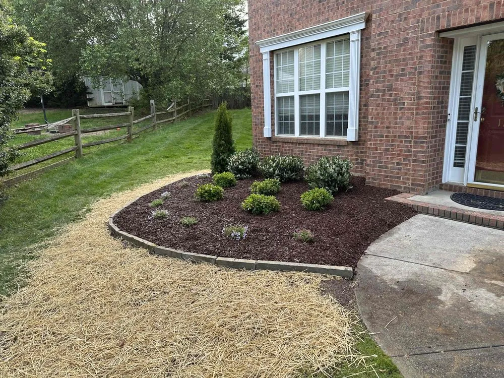 Trusted lawn care service in Raleigh, NC by Edison Landscaping