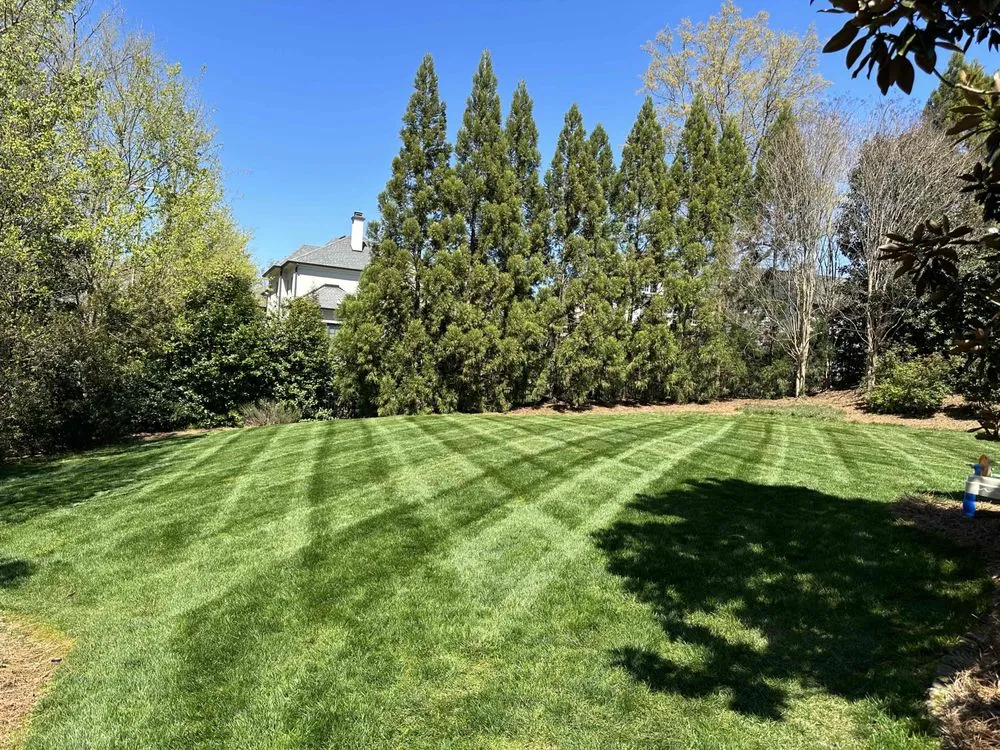 Local yard maintenance in Raleigh, NC by Edison Landscaping
