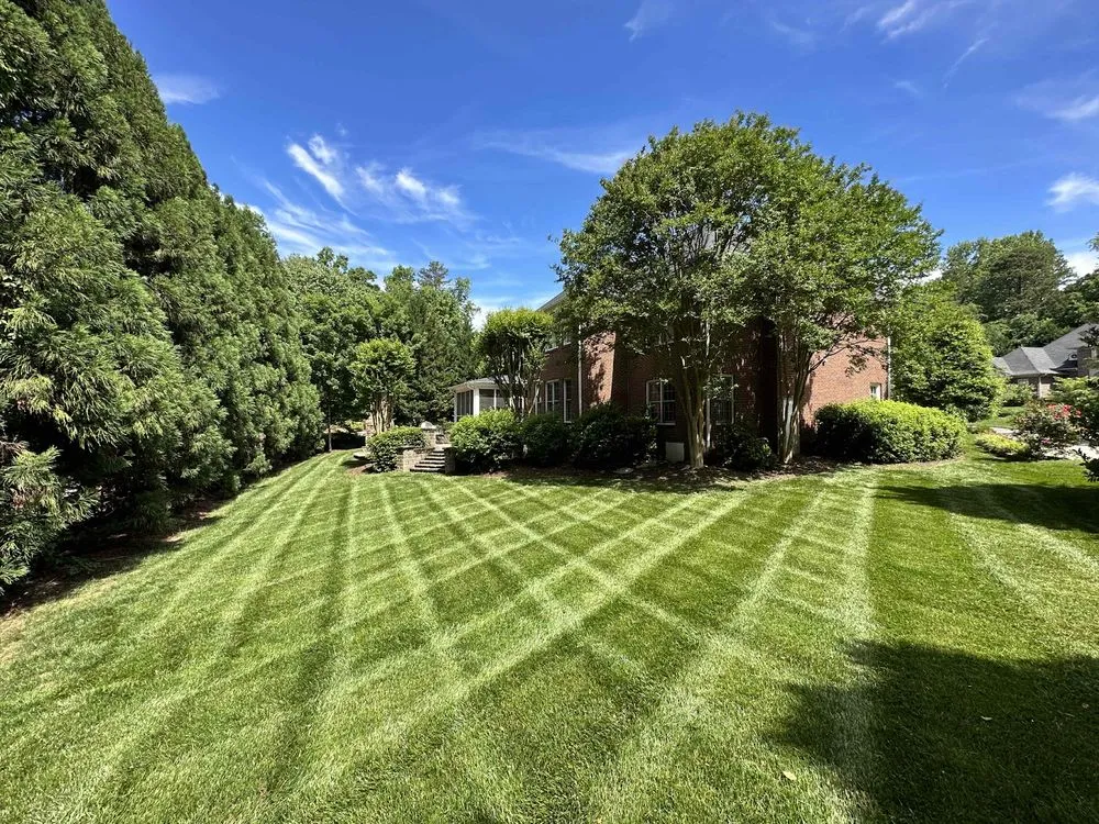 Affordable residential landscaping in Raleigh, NC by Edison Landscaping