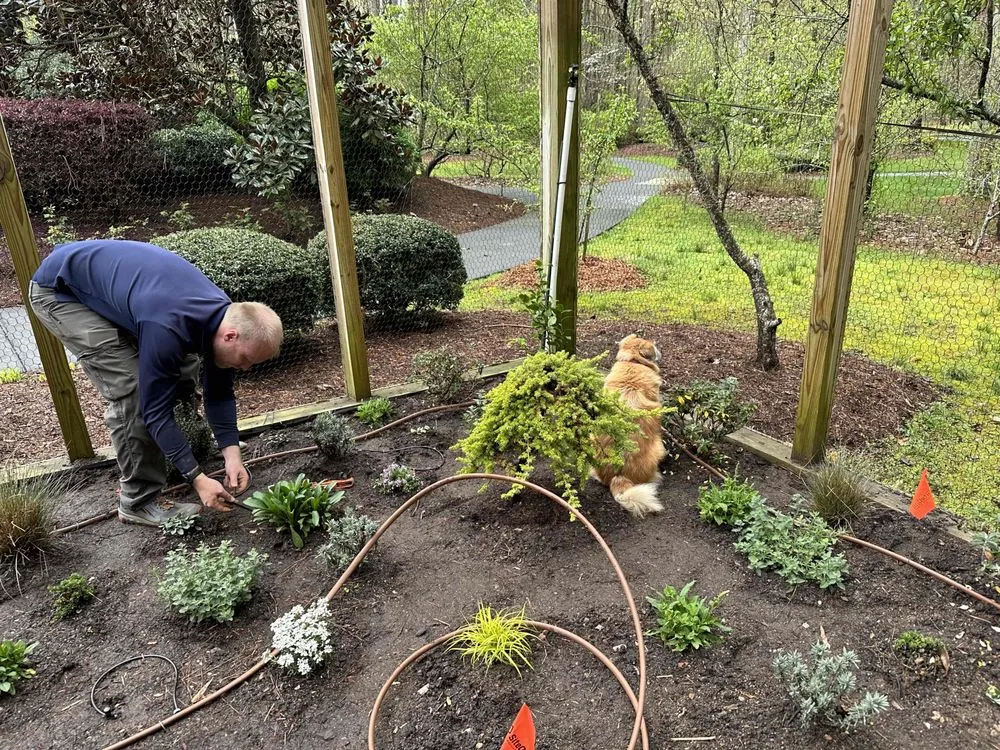 Top-rated lawn care service for outdoor upgrades in Raleigh, NC by Edison Landscaping