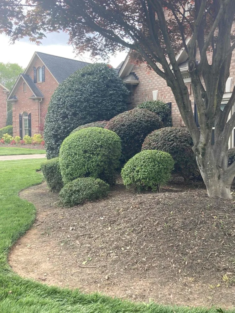 Affordable landscape installation experts serving Raleigh, NC - Edison Landscaping