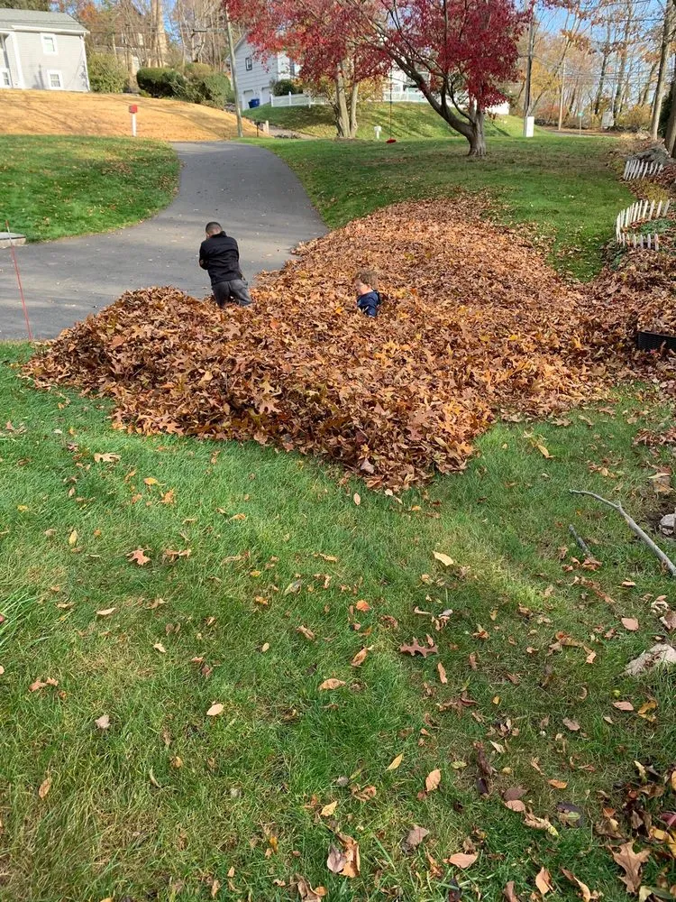 Trusted outdoor landscaping in Norwalk, CT - Edison Services