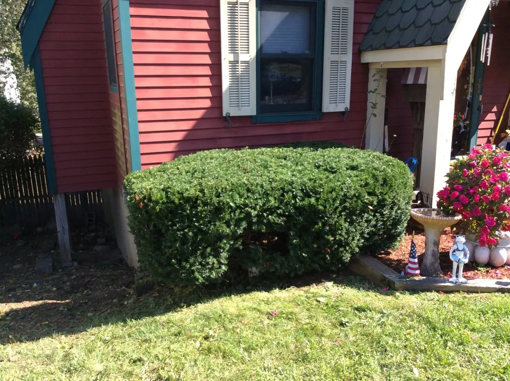 Professional garden landscaping experts serving Norwalk, CT - Edison Services