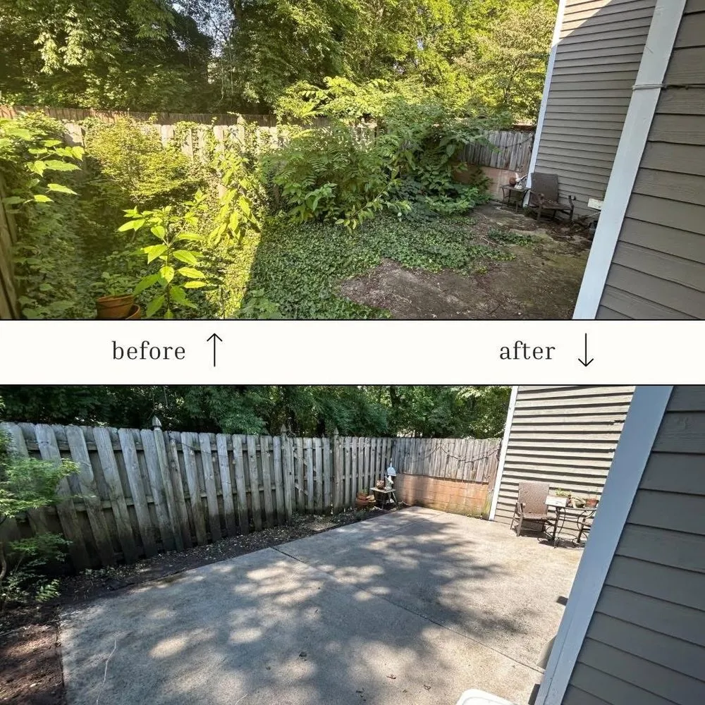 Custom landscaping services for year-round maintenance across Knoxville, TN - Edison’s Exterior Services