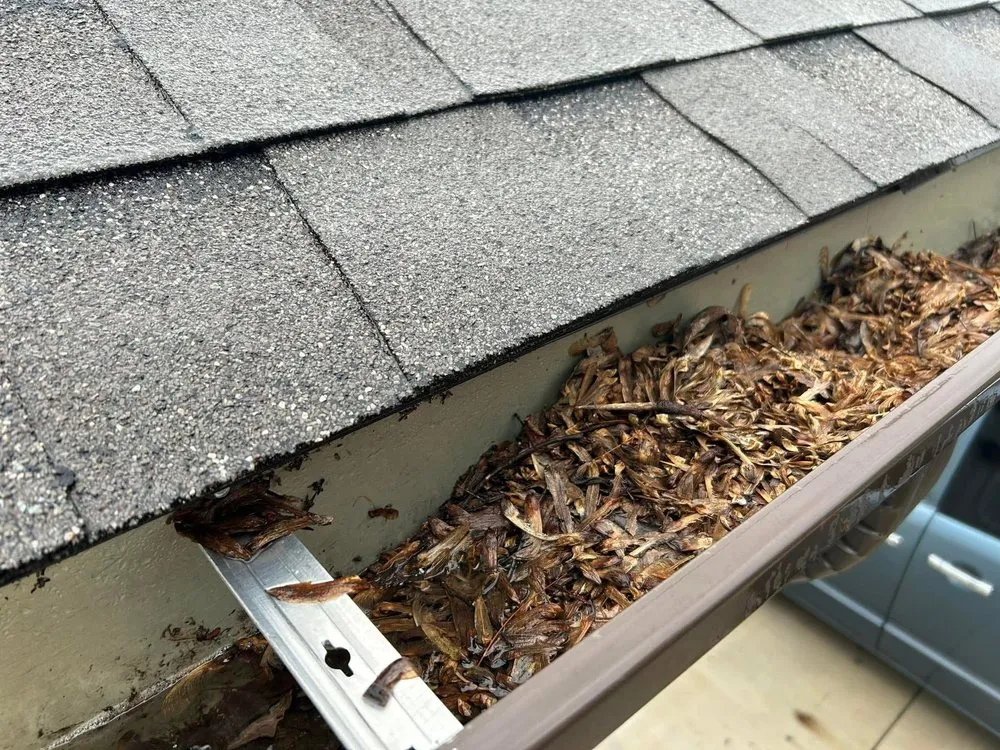 Expert outdoor landscaping in Knoxville, TN by Edison’s Exterior Services