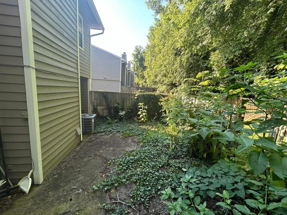 Professional yard cleanup service with custom design in Knoxville, TN by Edison’s Exterior Services