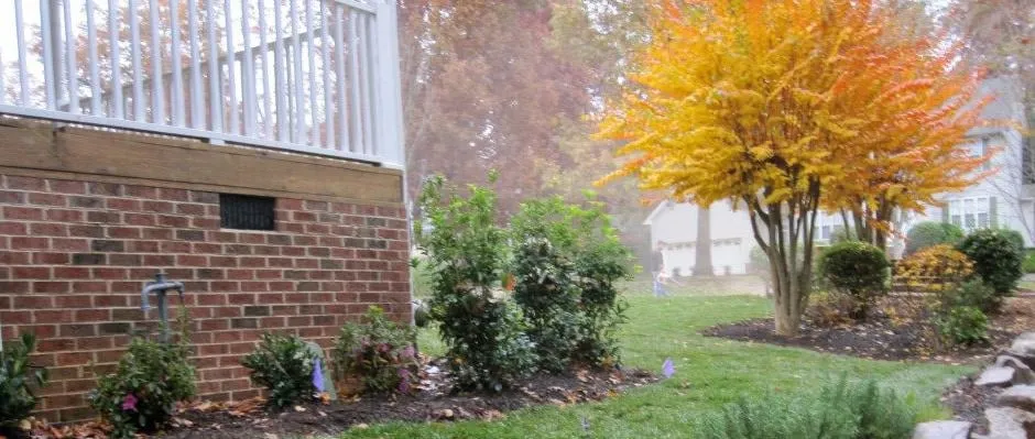 Local landscape installation experts serving Greenville, SC - Edisto Landscape Management