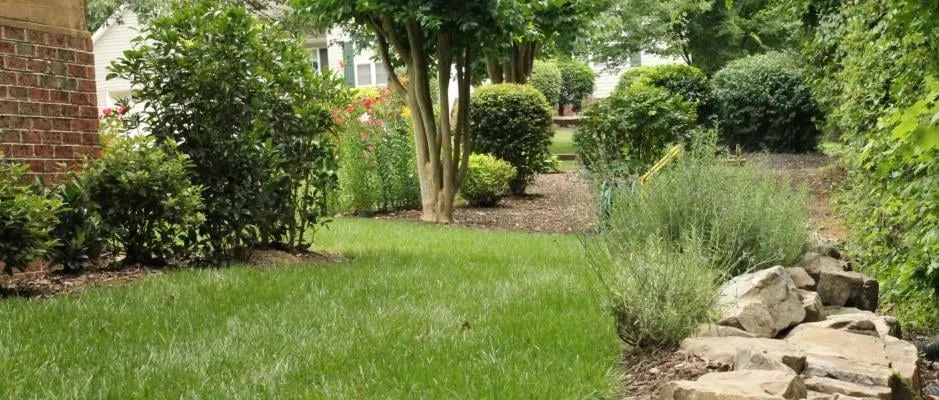 Professional landscape design experts serving Greenville, SC - Edisto Landscape Management