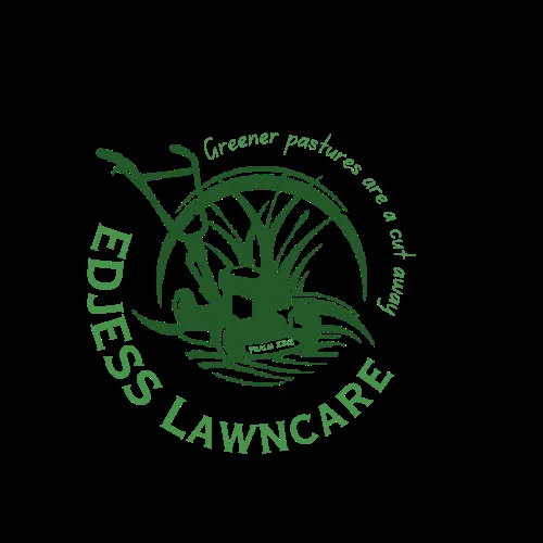 Custom yard maintenance in Weslaco, TX by Edjess Lawn Care