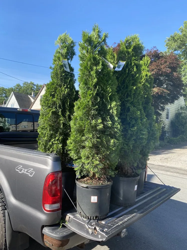 Professional landscape design experts serving Bridgeport, CT - Edland Landscaping