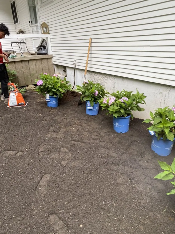 Expert garden landscaping in Bridgeport, CT - Edland Landscaping