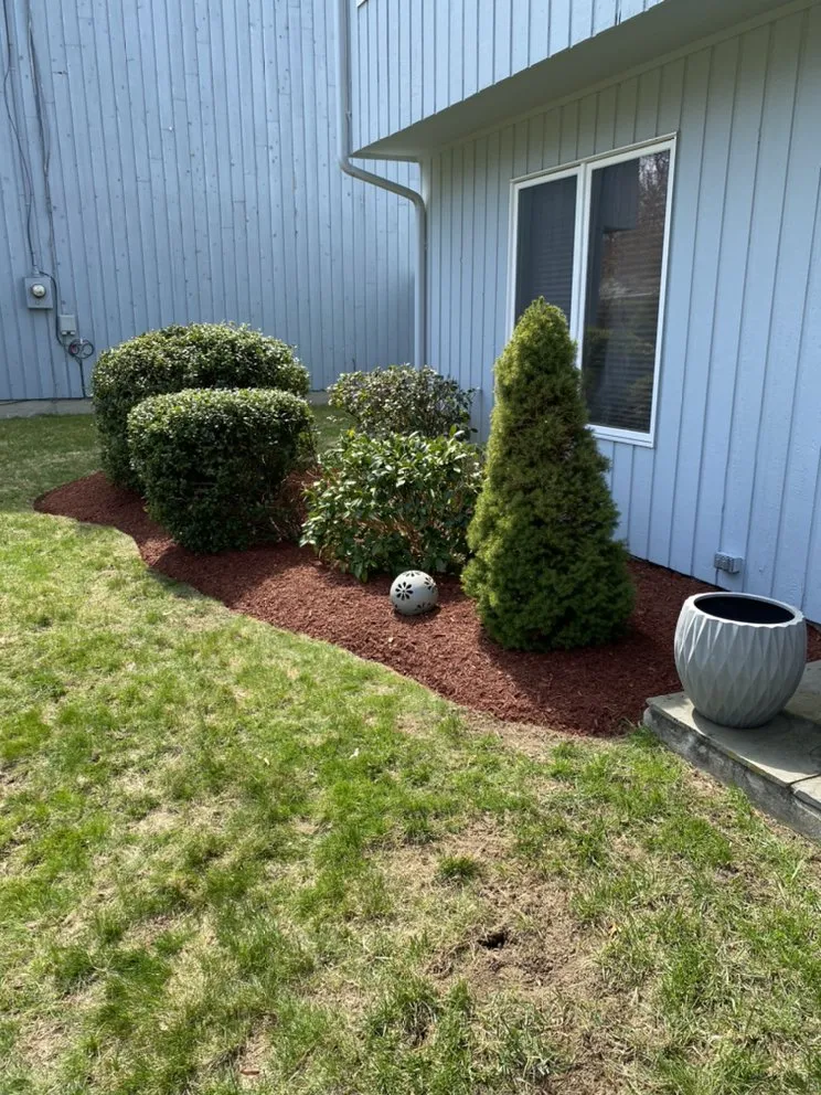 Professional landscape design in Bridgeport, CT - Edland Landscaping