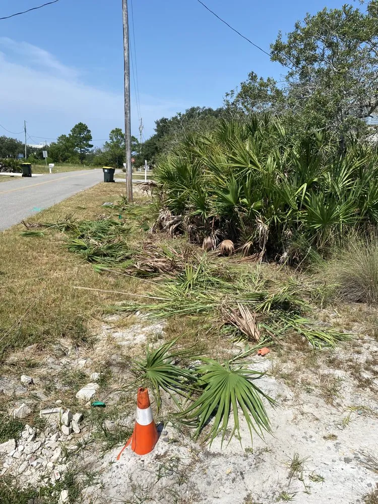 Local yard maintenance for residential properties in Foley, AL by Edlen’s Lawncare LLC