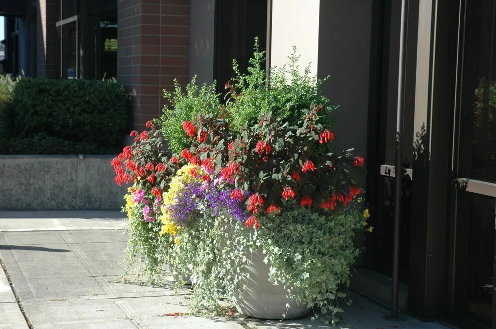 Local landscaping services in Renton, WA - Edlund Landscapes