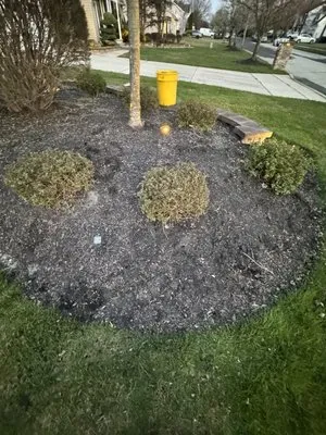 EDM Landscaping
