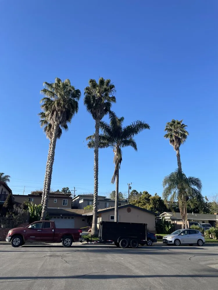 Trusted yard maintenance for residential properties in Riverside, CA by Edmar Tree Service & Landscaping