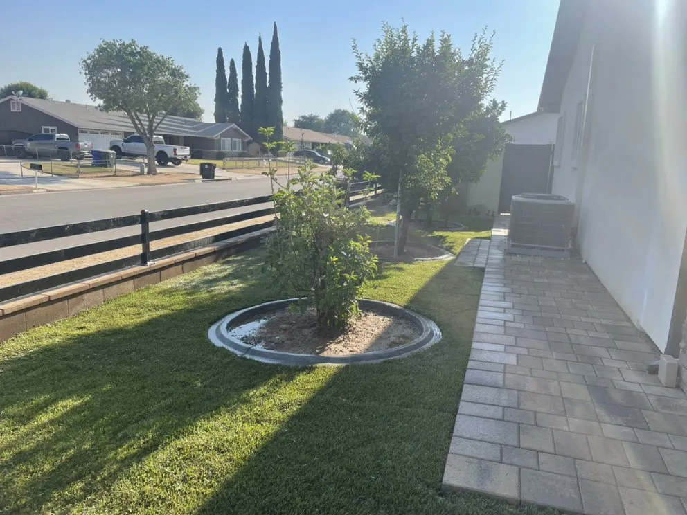Affordable yard maintenance in Riverside, CA by Edmar Tree Service & Landscaping