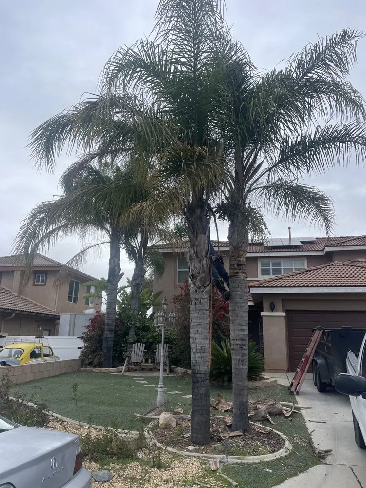 Affordable lawn mowing service with custom design across Riverside, CA - Edmar Tree Service & Landscaping