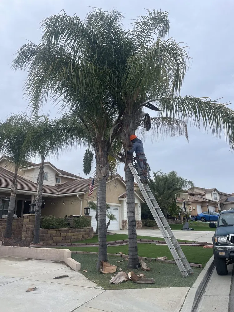Local garden landscaping in Riverside, CA by Edmar Tree Service & Landscaping