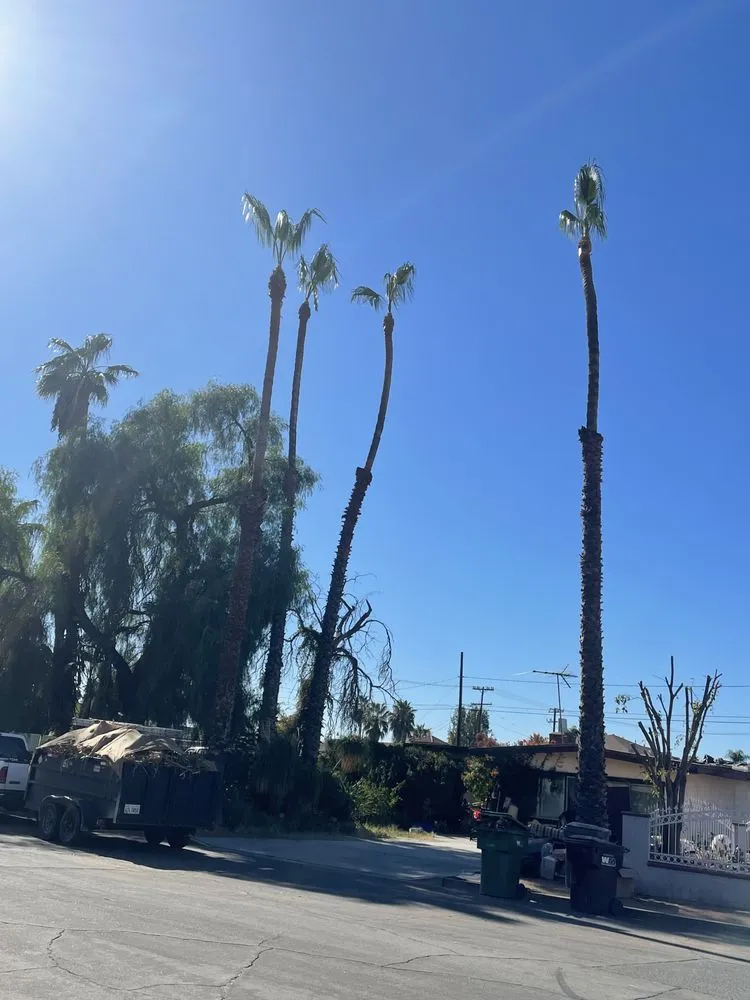 Reliable landscape installation in Riverside, CA - Edmar Tree Service & Landscaping