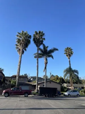 Edmar Tree Service & Landscaping Logo