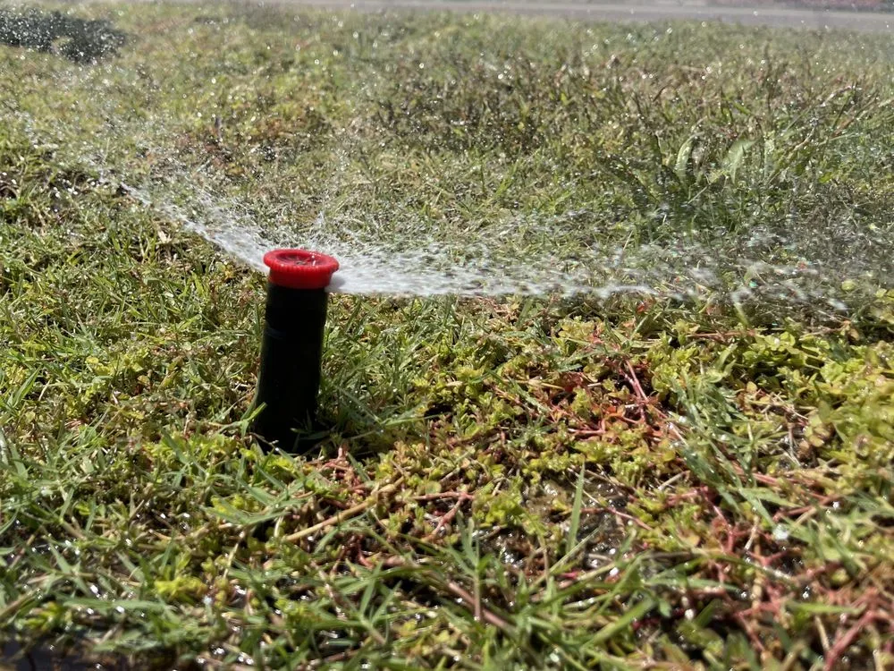 Professional yard cleanup service near you in Edmond, OK by Edmond Irrigation