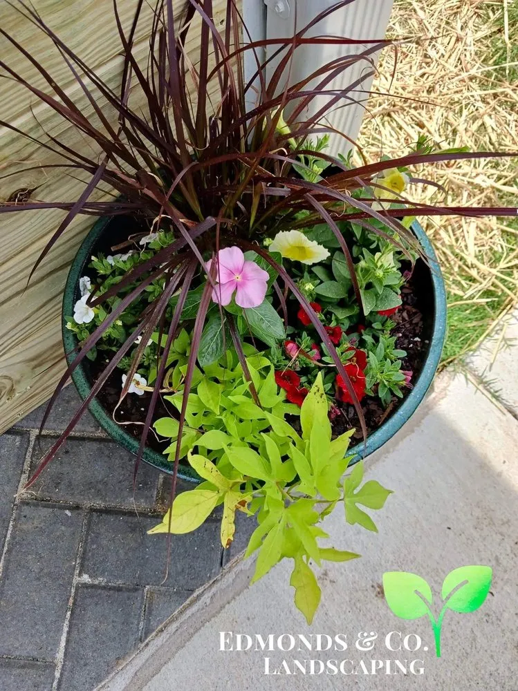 Top-rated outdoor landscaping experts serving McCalla, AL - Edmonds & Co